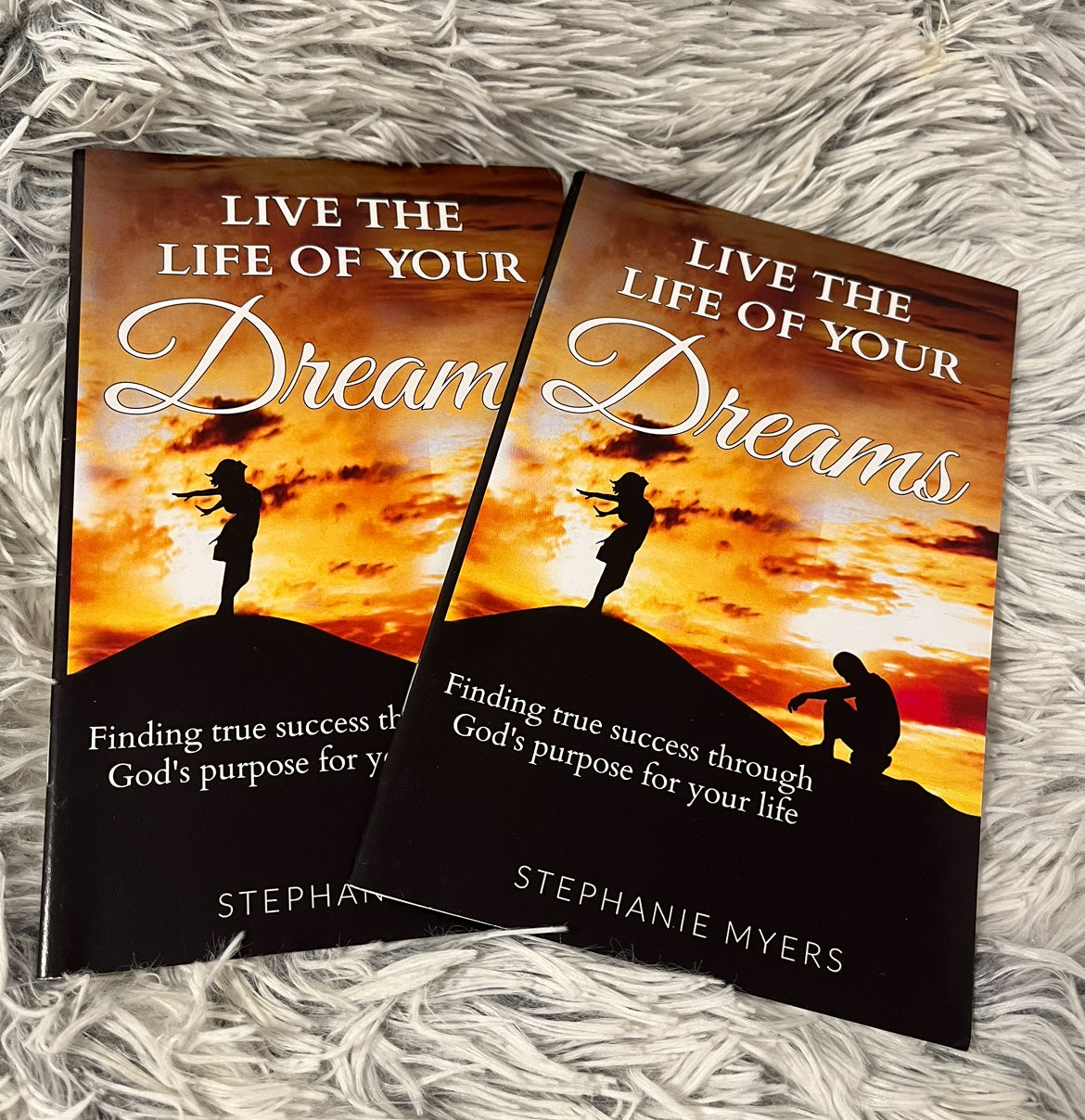 Live The Life of Your Dreams- Finding True Success Through God’s Purpose for Your Life